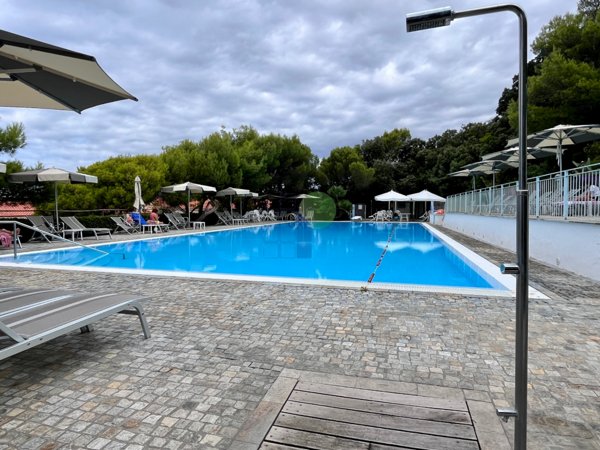 appartamento in vendita a Rosignano Marittimo in zona Castiglioncello