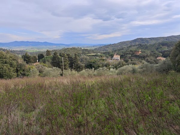 terreno agricolo in vendita a Rosignano Marittimo in zona Gabbro