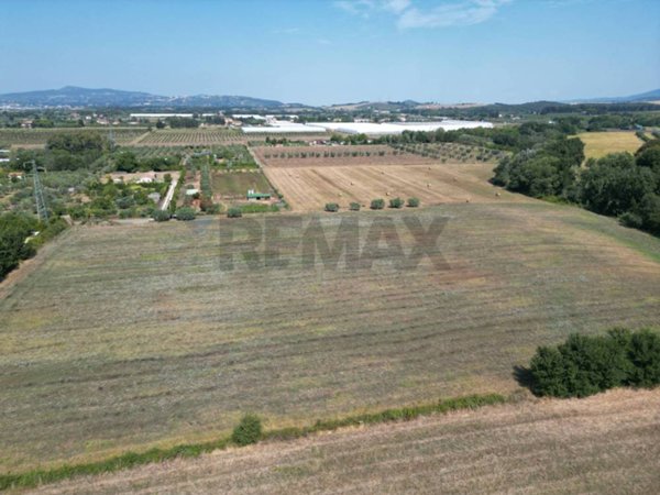 terreno agricolo in vendita a Rosignano Marittimo in zona Vada