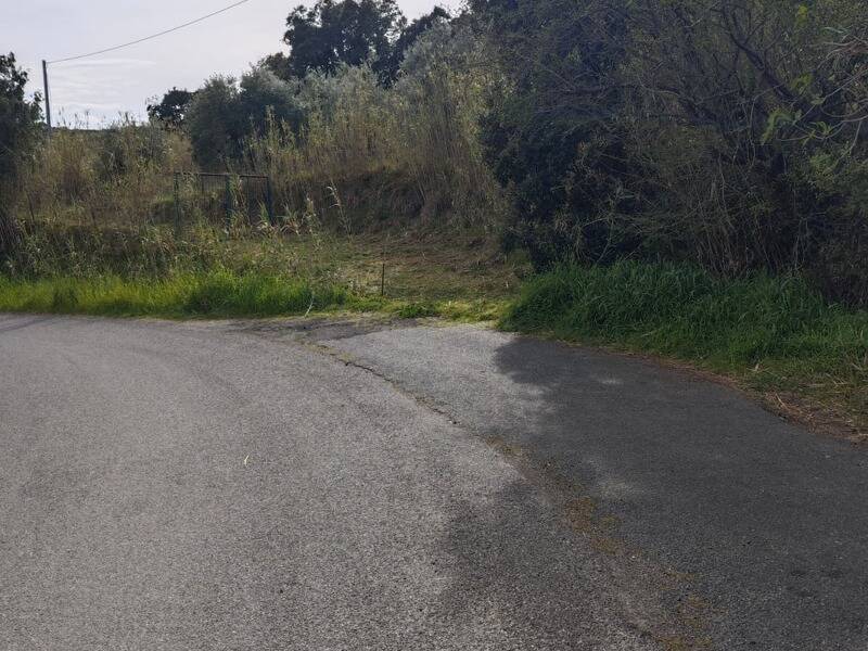 terreno agricolo in vendita a Rosignano Marittimo in zona Gabbro