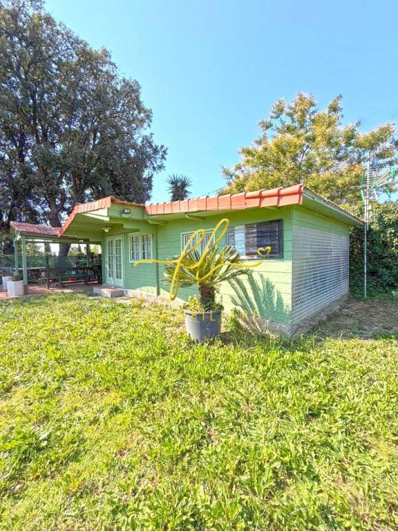 terreno agricolo in vendita a Rosignano Marittimo in zona Rosignano Solvay