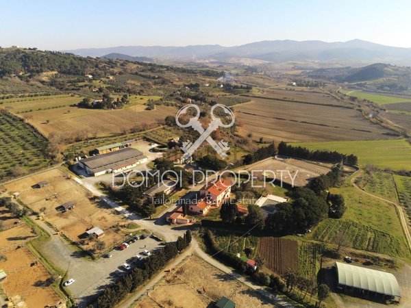 azienda agricola in vendita a Rosignano Marittimo