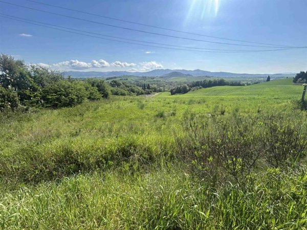 terreno agricolo in vendita a Rosignano Marittimo