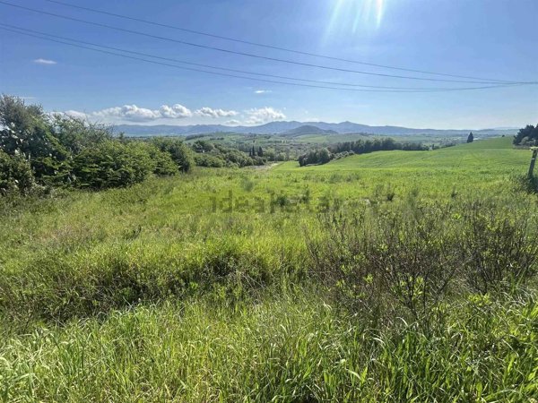 terreno agricolo in vendita a Rosignano Marittimo