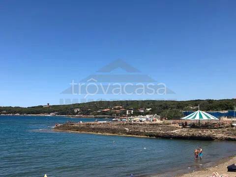 appartamento in vendita a Rosignano Marittimo in zona Castiglioncello