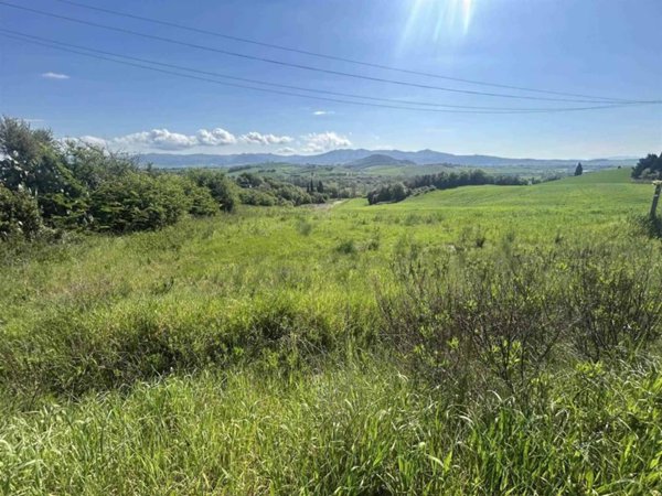 terreno agricolo in vendita a Rosignano Marittimo in zona Gabbro