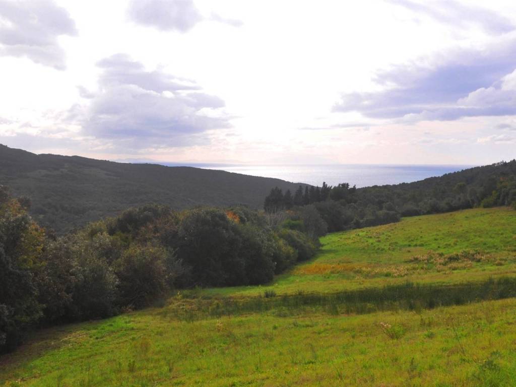 terreno agricolo in vendita a Rosignano Marittimo
