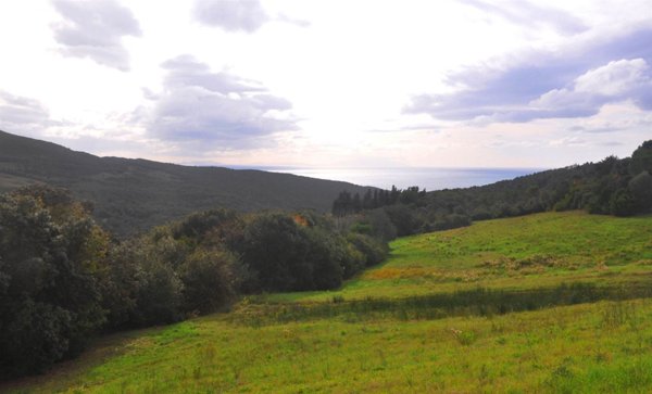 terreno agricolo in vendita a Rosignano Marittimo in zona Nibbiaia