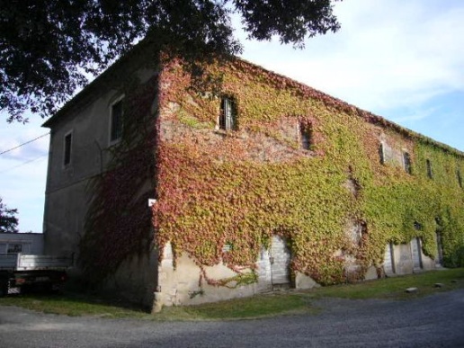 appartamento in vendita a Rosignano Marittimo in zona Gabbro