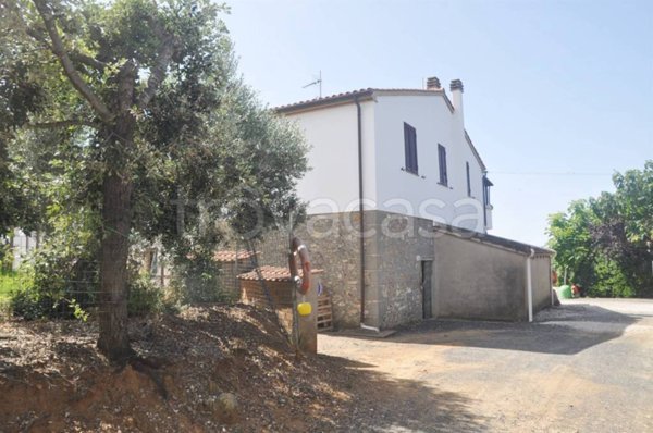 appartamento in vendita a Rosignano Marittimo in zona Rosignano Solvay