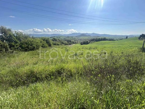 terreno agricolo in vendita a Rosignano Marittimo