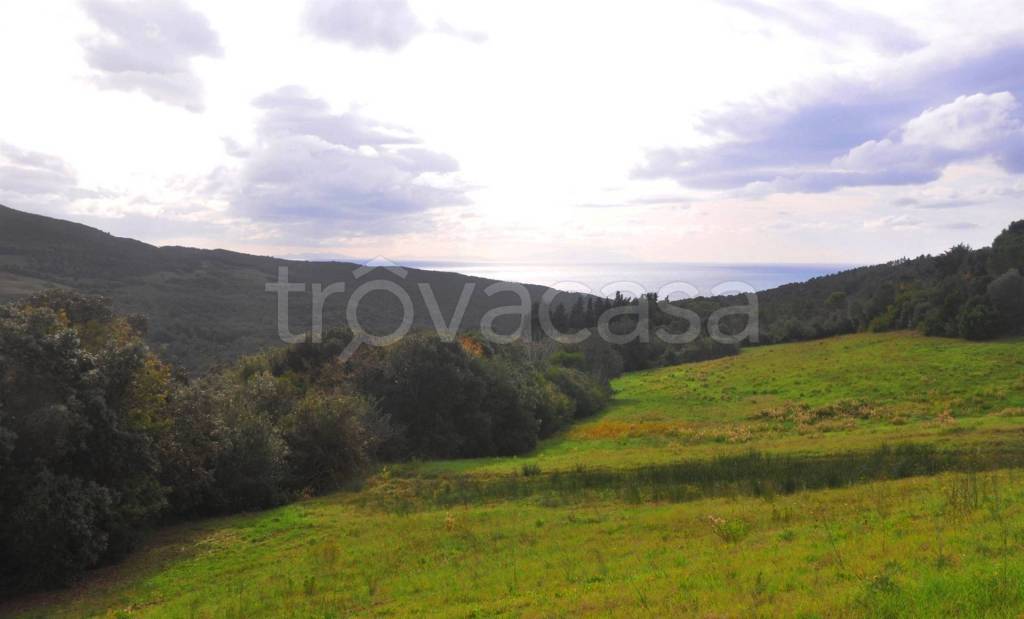 terreno agricolo in vendita a Rosignano Marittimo