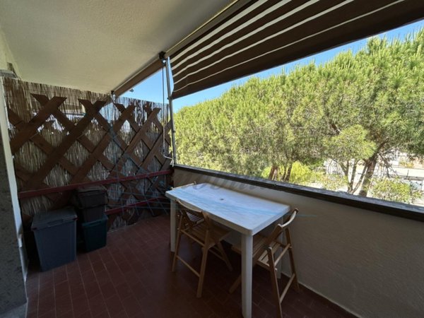 appartamento in vendita a Rosignano Marittimo in zona Vada