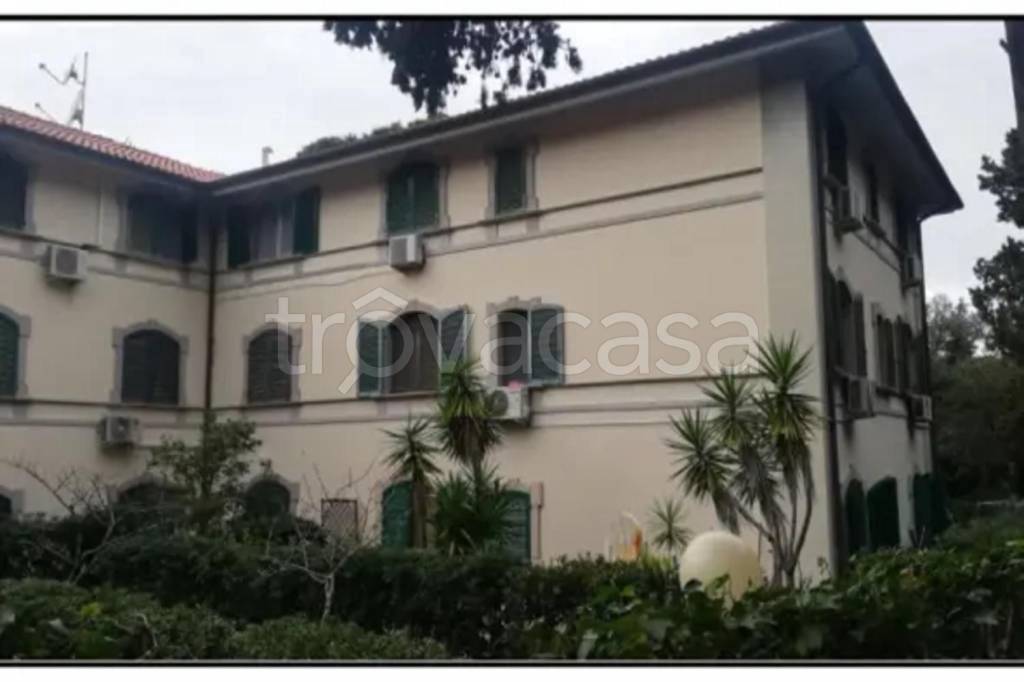 appartamento in vendita a Rosignano Marittimo