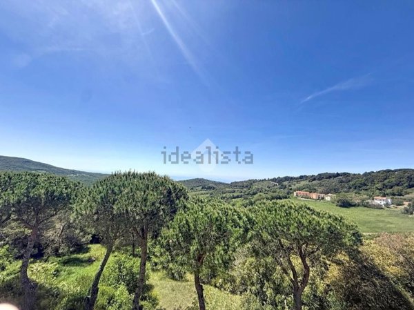 appartamento in vendita a Rosignano Marittimo in zona Nibbiaia