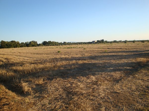 terreno agricolo in vendita a Rosignano Marittimo in zona Vada