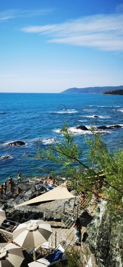 appartamento in vendita a Rosignano Marittimo in zona Castiglioncello