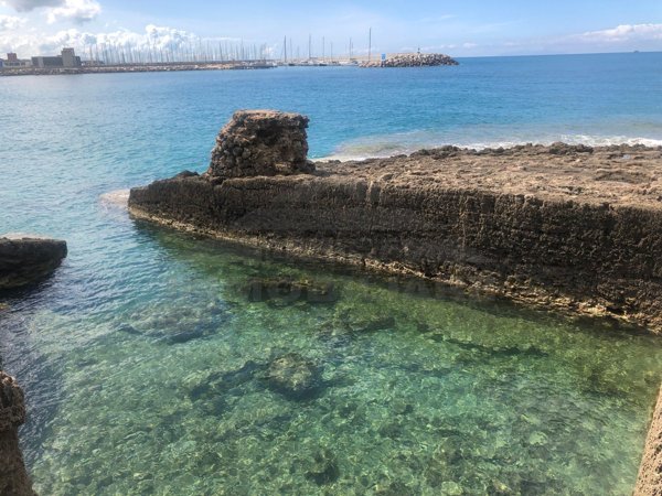 appartamento in vendita a Rosignano Marittimo