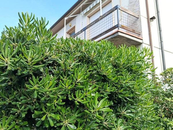 casa indipendente in vendita a Rosignano Marittimo in zona Rosignano Solvay