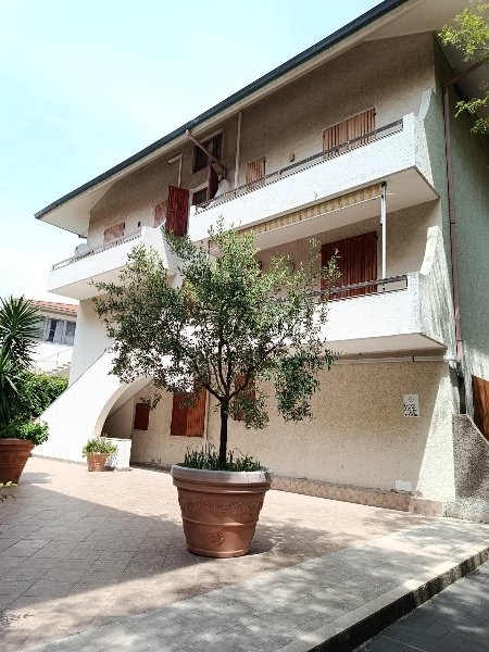 appartamento in vendita a Rosignano Marittimo in zona Castiglioncello
