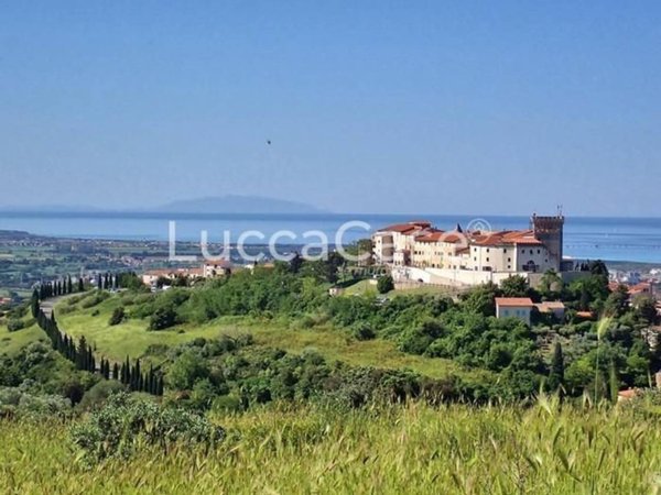 negozio in vendita a Rosignano Marittimo