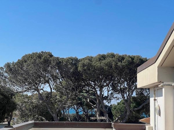 appartamento in vendita a Rosignano Marittimo in zona Castiglioncello