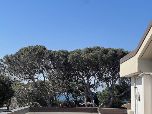 appartamento in vendita a Rosignano Marittimo in zona Castiglioncello