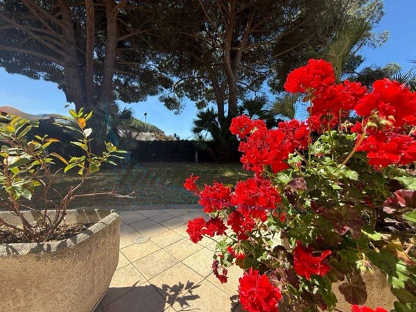 appartamento in vendita a Rosignano Marittimo