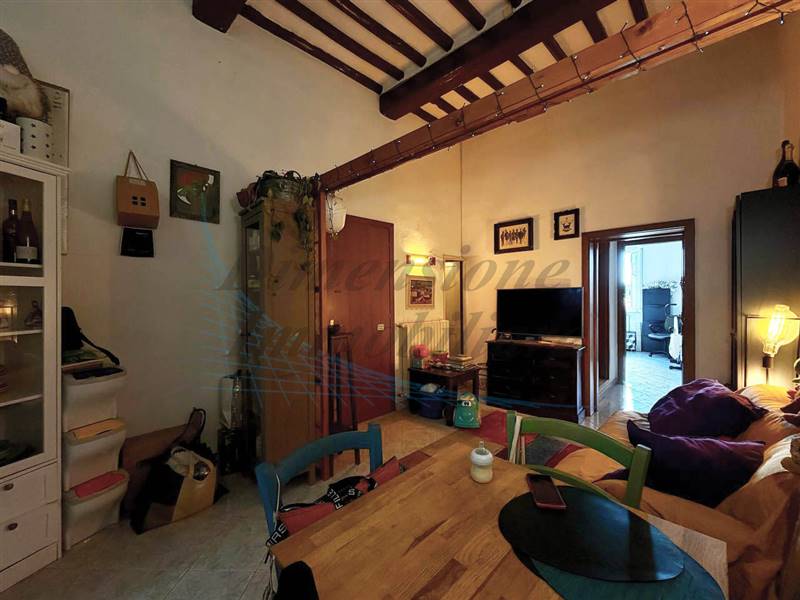 appartamento in vendita a Rosignano Marittimo