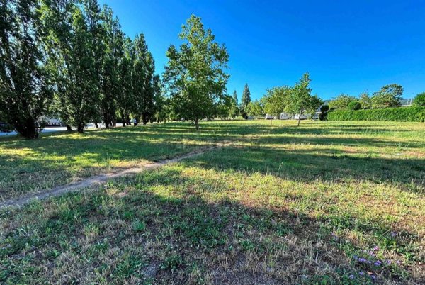 appartamento in vendita a Rosignano Marittimo in zona Rosignano Solvay