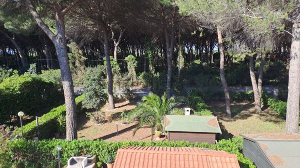 appartamento in vendita a Rosignano Marittimo in zona La Mazzanta