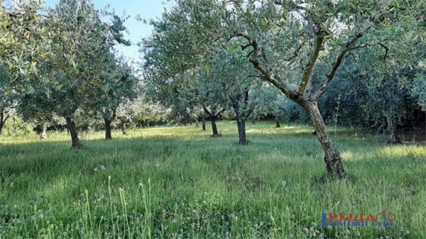 appartamento in vendita a Rosignano Marittimo in zona Rosignano Solvay
