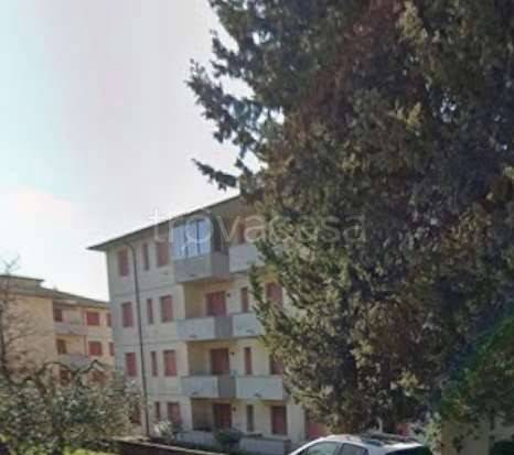 appartamento in vendita a Rosignano Marittimo in zona Castiglioncello