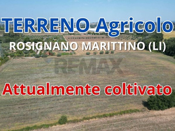 terreno agricolo in vendita a Rosignano Marittimo in zona Vada