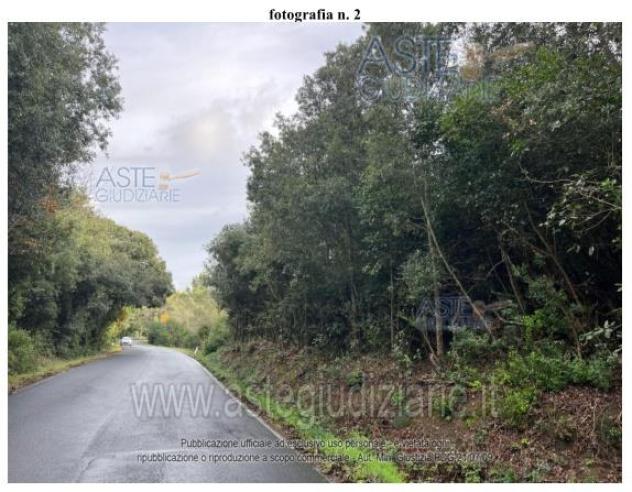 terreno agricolo in vendita a Rosignano Marittimo