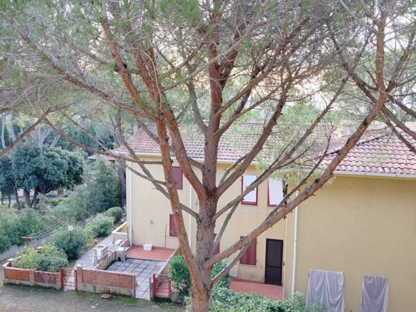 appartamento in vendita a Rosignano Marittimo in zona Castiglioncello