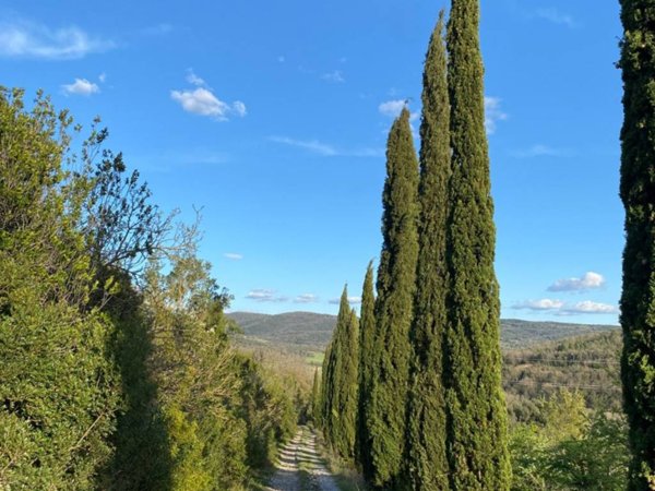 casa indipendente a Rosignano Marittimo in zona Castelnuovo della Misericordia