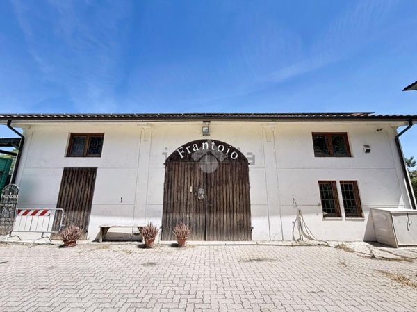terreno agricolo in vendita a Rosignano Marittimo