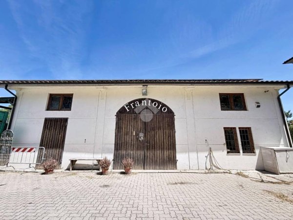locale commerciale in vendita a Rosignano Marittimo