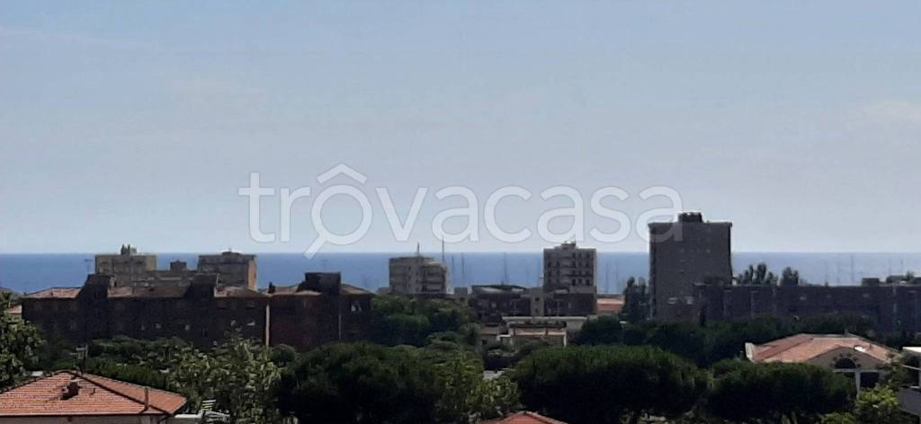 appartamento in vendita a Rosignano Marittimo in zona Rosignano Solvay