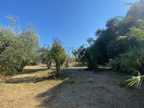 casa indipendente in vendita a Rosignano Marittimo