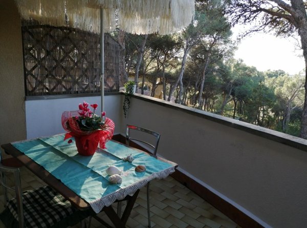 appartamento in vendita a Rosignano Marittimo in zona Castiglioncello