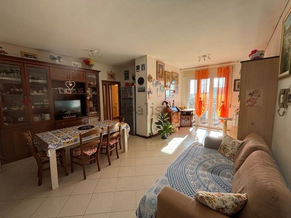 appartamento in vendita a Rosignano Marittimo