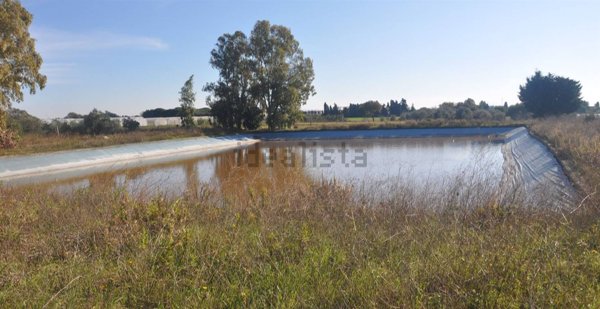 terreno agricolo in vendita a Rosignano Marittimo