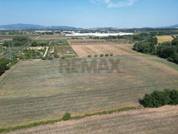 terreno agricolo in vendita a Rosignano Marittimo