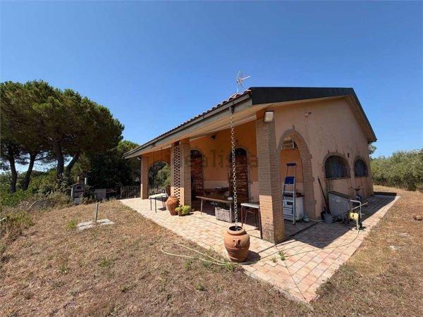 azienda agricola in vendita a Rosignano Marittimo