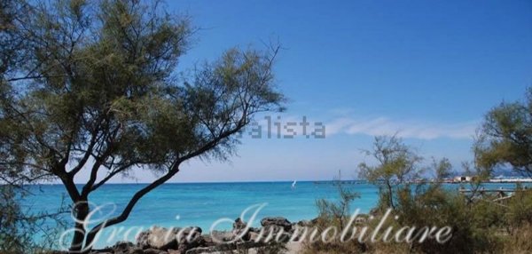 appartamento in vendita a Rosignano Marittimo