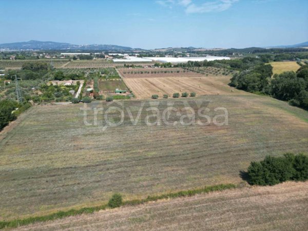 terreno agricolo in vendita a Rosignano Marittimo