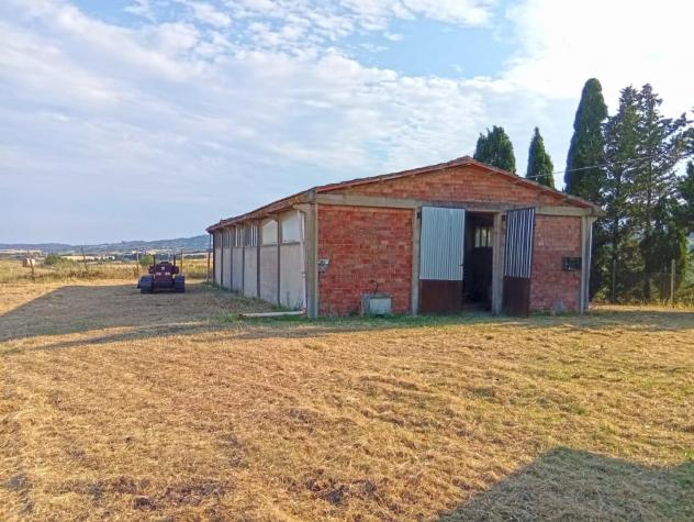 terreno agricolo in vendita a Rosignano Marittimo