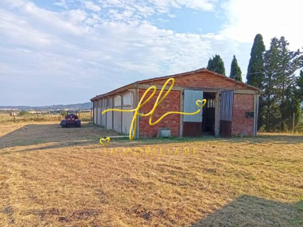 terreno agricolo a Rosignano Marittimo in zona Castelnuovo della Misericordia